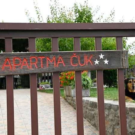 Apartma Cuk Dutovlje Exterior photo