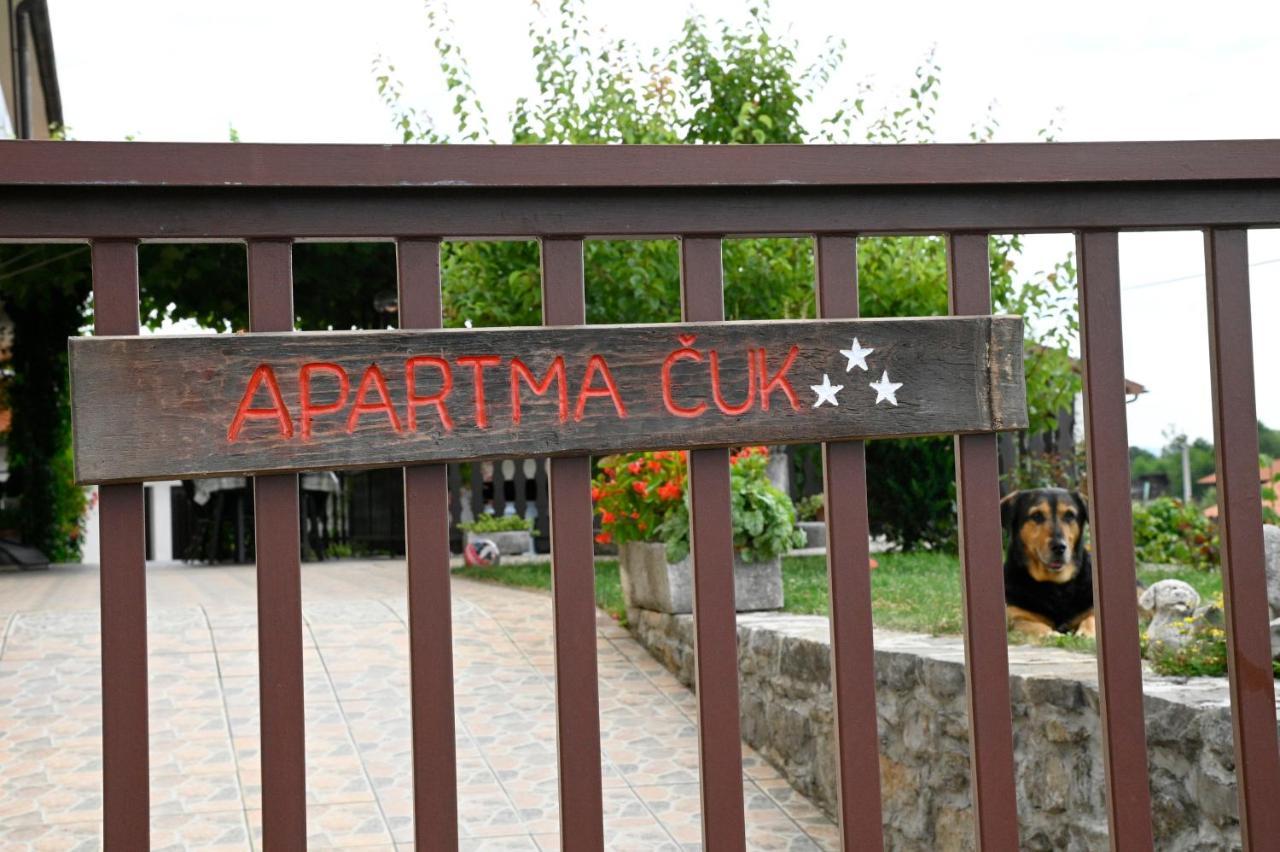 Apartment Apartma Cuk *